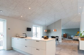 Troldtekt loft