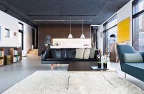 Troldtekt loft